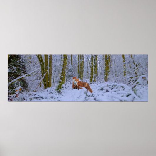 パノラマポスター ポスター (正面)