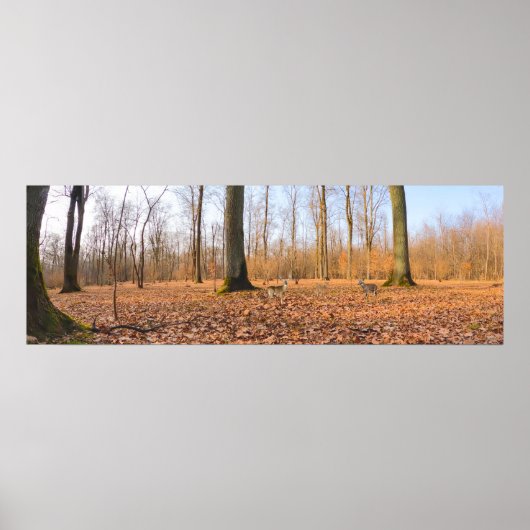 パノラマポスター ポスター (正面)