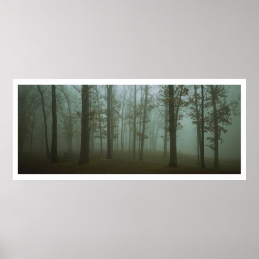 パノラマ悲観的な森の風景 ポスター (正面)