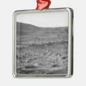 パノラマ火星6 メタルオーナメント (左)