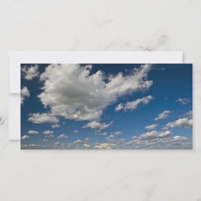 パノラマ (正面)