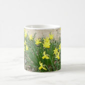 パノラミックダフォディルフラワーズマグ コーヒーマグカップ (中央)