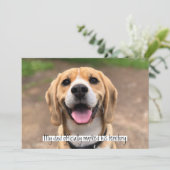 パパが正式に自分のテリトリーにマーキングしました 招待状 (スタンド正面)