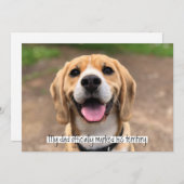 パパが正式に自分のテリトリーにマーキングしました 招待状 (正面/裏面)