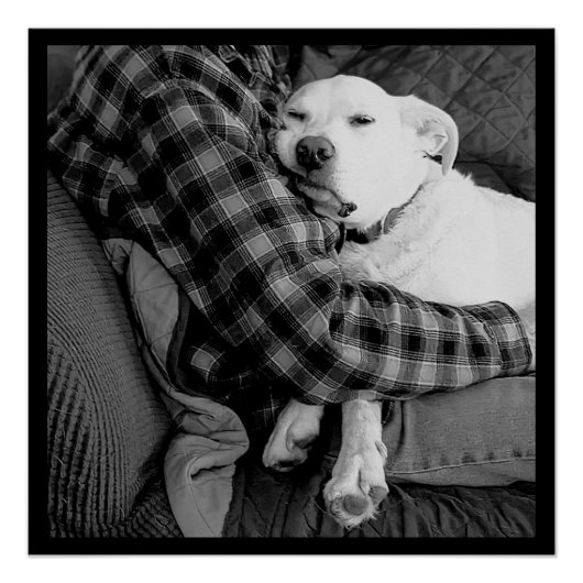 パパで愛犬を嗅ぎ回る白黒の写真 ポスター (正面)