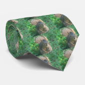 パパのリスのタイ ネクタイ (ロール)