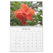 パパの庭の散歩 カレンダー (1月 2026)