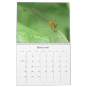 パパの庭の散歩 カレンダー (3月 2026)