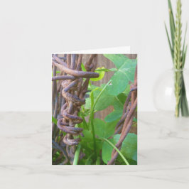 パパの有刺鉄線 カード