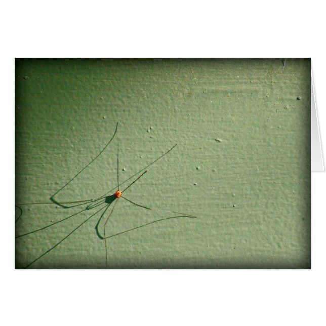 パパの長い脚 (正面横)