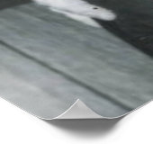 パパアール&シャロン ポスター (角)