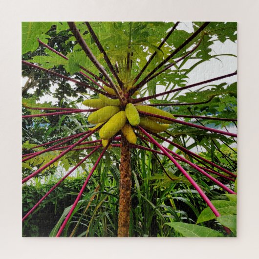 パパイヤの木 ジグソーパズル (縦)