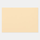 パパイヤネクタールグローピーチシェード3トーン ラッピングペーパーシート (正面3)