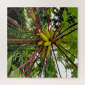 パパイヤ ジグソーパズル (横)