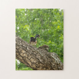 パパウッドダック ジグソーパズル