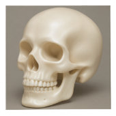 パパキューブ フォトキューブ (右)