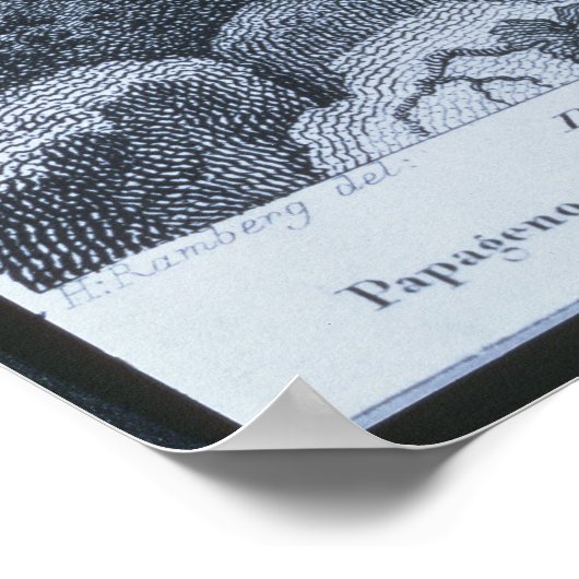 パパゲノ：「私は鳥刺し ポスター (角)