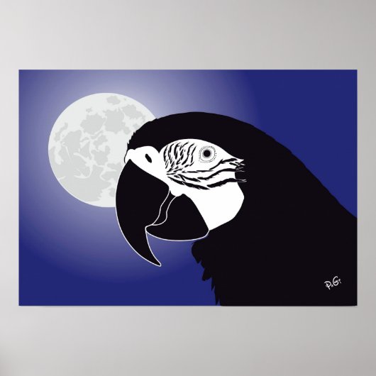 パパジェイ・アラポスター ポスター (正面)