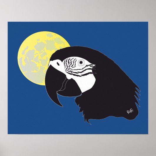 パパジェイ・アラポスター ポスター (正面)