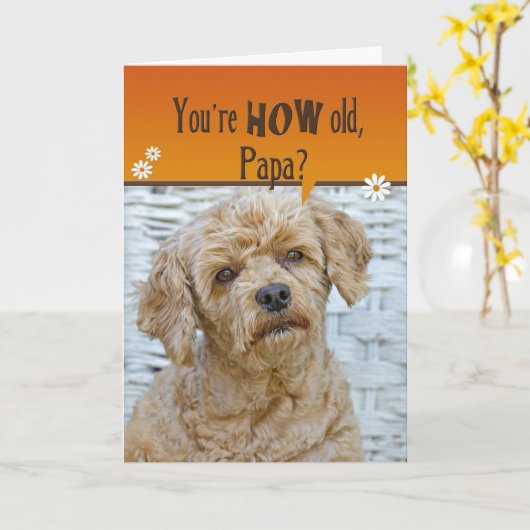 パパズ誕生日 カード (黄色い花)