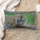 パパタイガーランバーピロー ランバークッション (ブランケット)