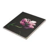 パパバースガルプラム タイル (側面)