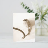 パパベロセコ乾燥したポピー ポストカード (スタンド正面)