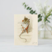 パパマウス読新聞 ポストカード (スタンド正面)