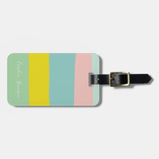 パパーソナライズされたステルストライプトラベラーデスティネーション ラゲッジタグ (正面横)