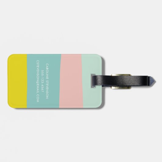 パパーソナライズされたステルストライプトラベラーデスティネーション ラゲッジタグ (裏面横)