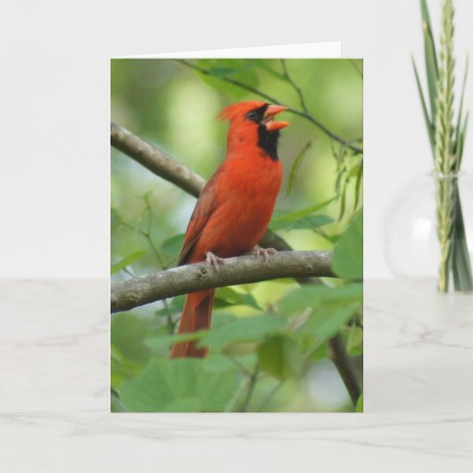 パパ歌！ カード (正面)