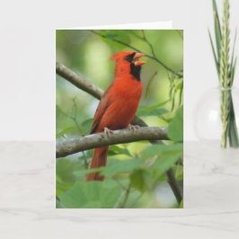 パパ歌！ カード