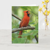 パパ歌！ カード (黄色い花)