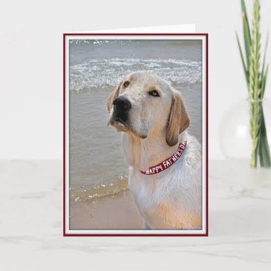 パパ犬 カード (正面)