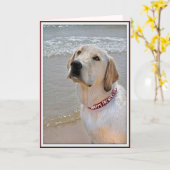 パパ犬 カード (黄色い花)