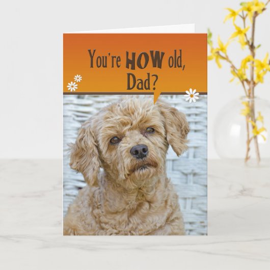 パパ誕生日 カード (黄色い花)