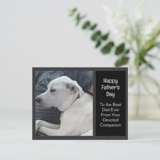 パパ・コンパニオン父の日のかわいい犬の写真 シーズンポストカード (スタンド正面)