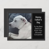 パパ・コンパニオン父の日のかわいい犬の写真 シーズンポストカード (正面/裏面)