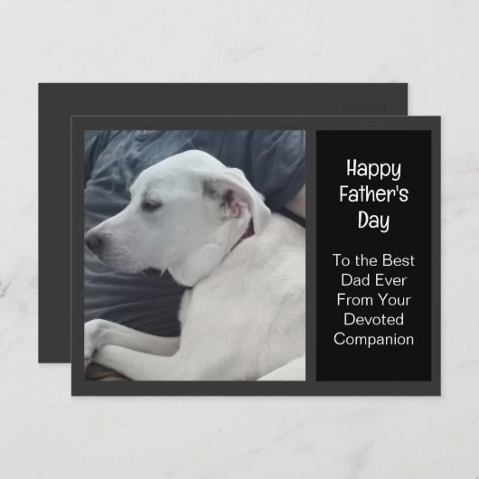 パパ・コンパニオン父の日のかわいい犬の写真 シーズンポストカード (正面/裏面)