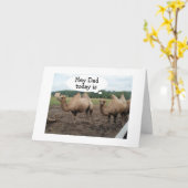 **パパ**ラクダはハンプデーは無いと言います – 誕生日 カード (黄色い花)