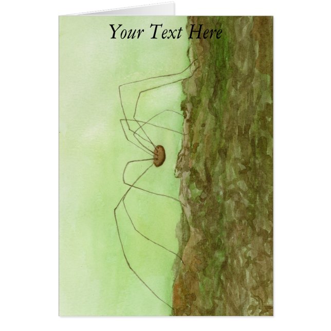 パパ・ロング・レッグ (正面)