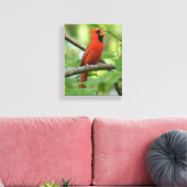 パパ（鳥）ショウジョウコウカンチョウ歌！ キャンバスプリント (インサイチュ (リビング))