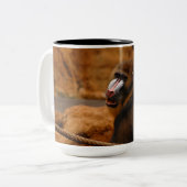 パビアン/バブーン ツートーンマグカップ (正面左)