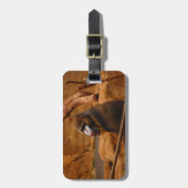 パビアン/バブーン ラゲッジタグ (正面縦)