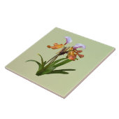 パピオペディラム蘭の絡み タイル (側面)