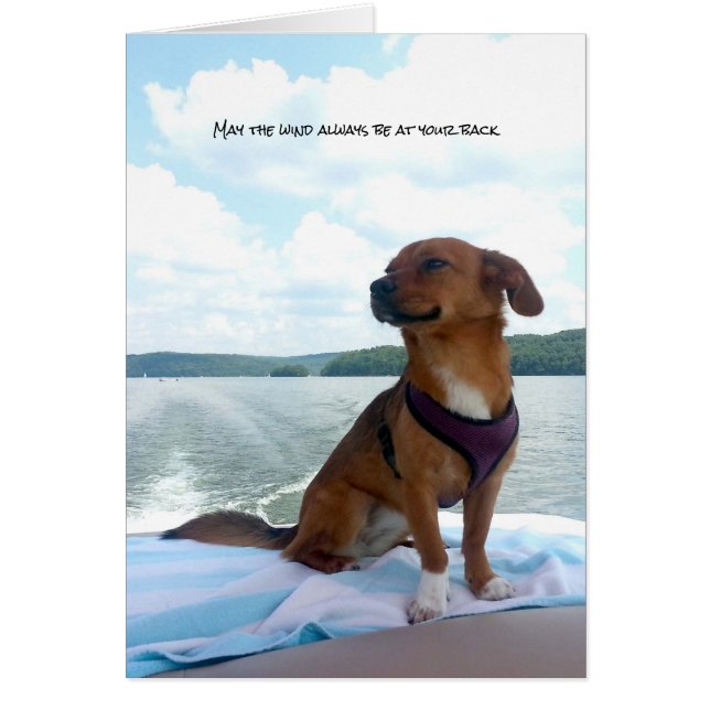 パピオンボートウインドアットバック気持ち (正面)