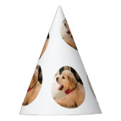 パピシンプルー型の誕生日パーティー パーティーハット (正面)