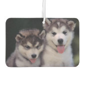 パピズエアフレッシュナー カーエアーフレッシュナー (裏面)