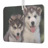 パピズエアフレッシュナー カーエアーフレッシュナー (左)