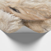 パピズバレンタインズデイラッピング紙 ラッピングペーパー (角)